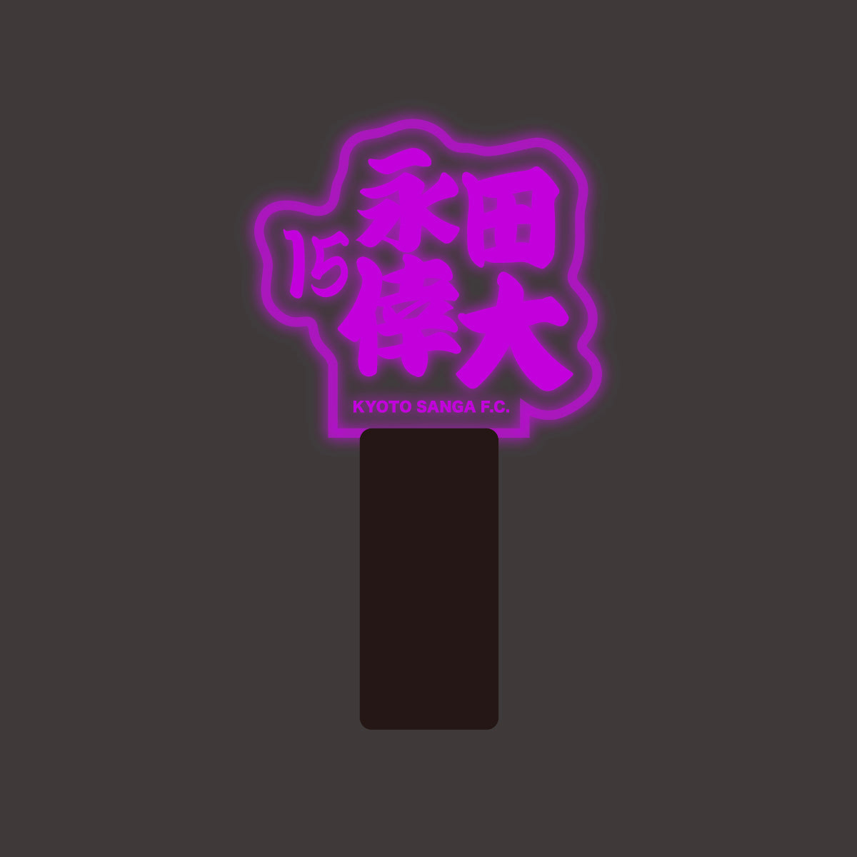 選手ネームペンライト
